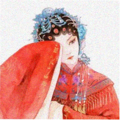 用户头像：坚持记录摄入的读者